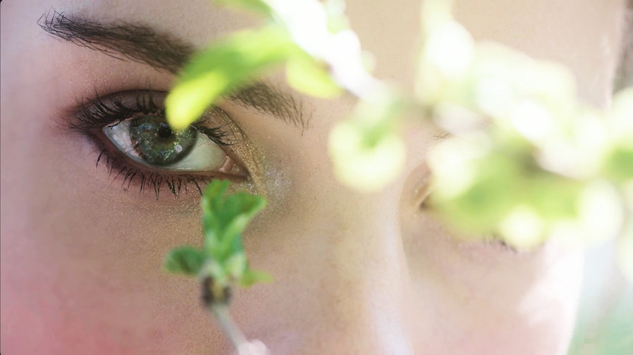 Anteprima video